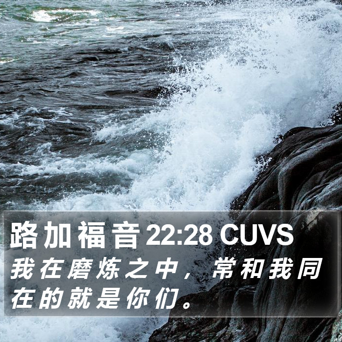 路 加 福 音 22:28 CUVS Bible Study