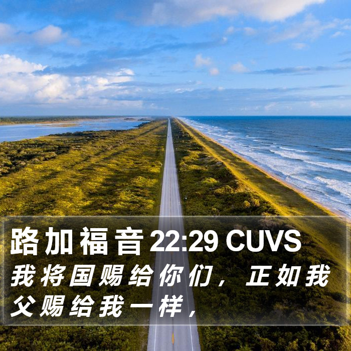 路 加 福 音 22:29 CUVS Bible Study