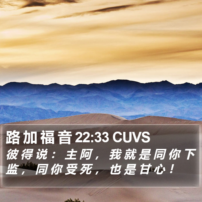 路 加 福 音 22:33 CUVS Bible Study