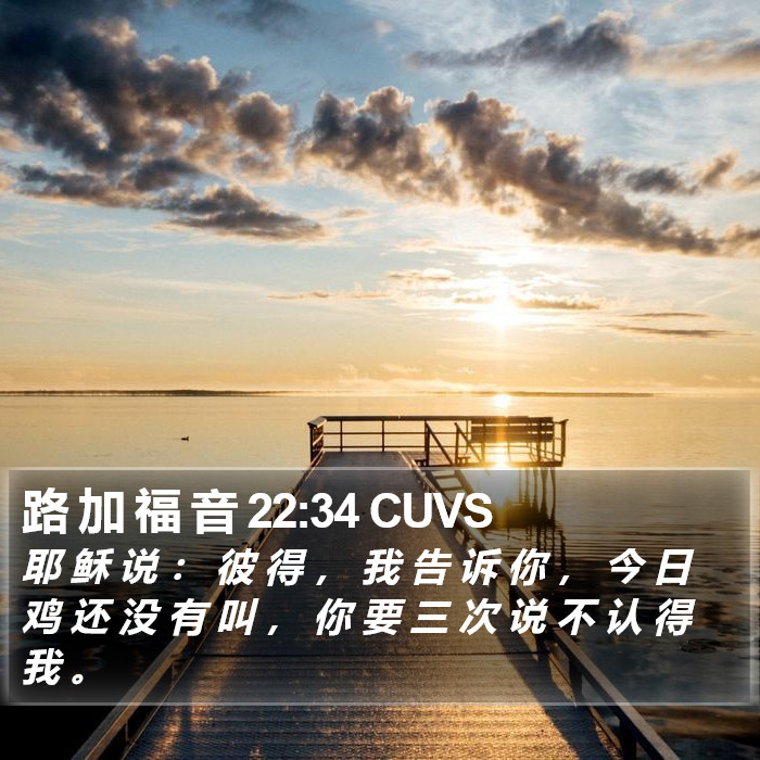 路 加 福 音 22:34 CUVS Bible Study