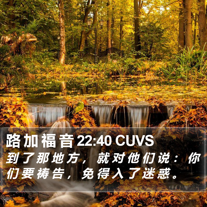 路 加 福 音 22:40 CUVS Bible Study