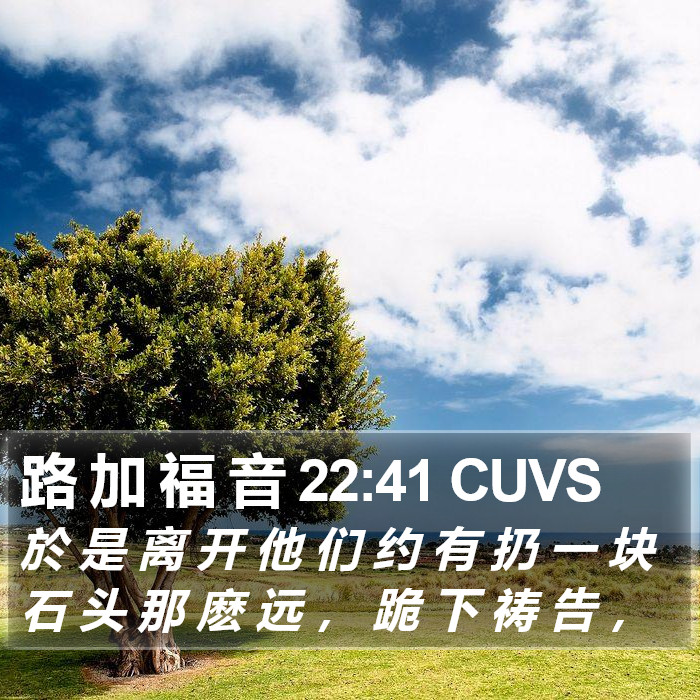 路 加 福 音 22:41 CUVS Bible Study