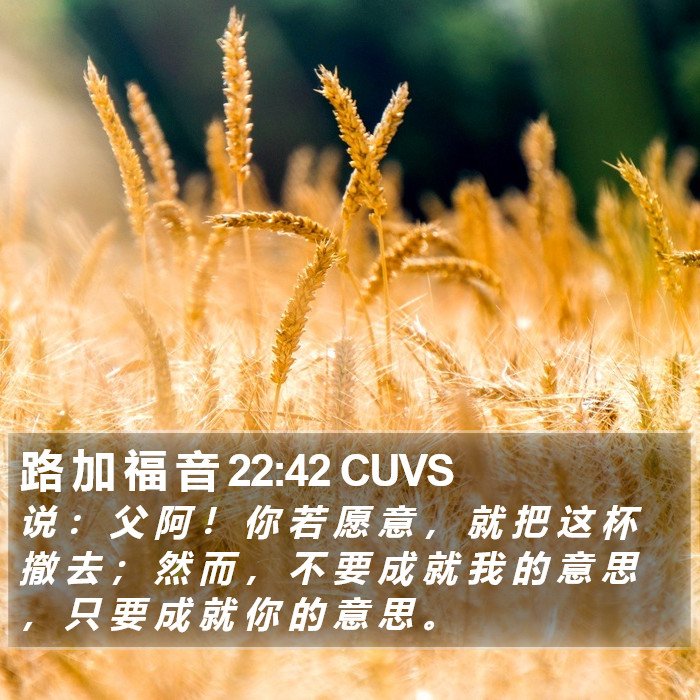 路 加 福 音 22:42 CUVS Bible Study