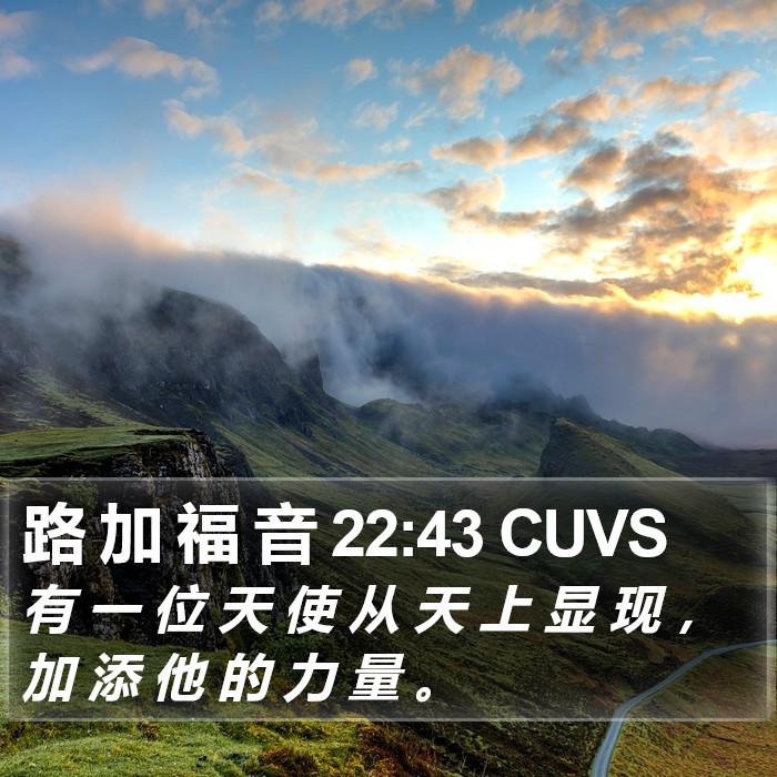 路 加 福 音 22:43 CUVS Bible Study