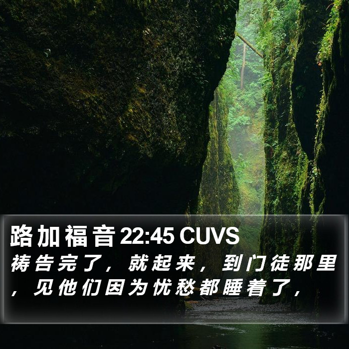 路 加 福 音 22:45 CUVS Bible Study