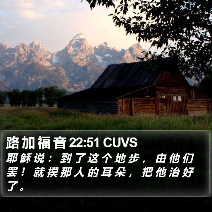 路 加 福 音 22:51 CUVS Bible Study