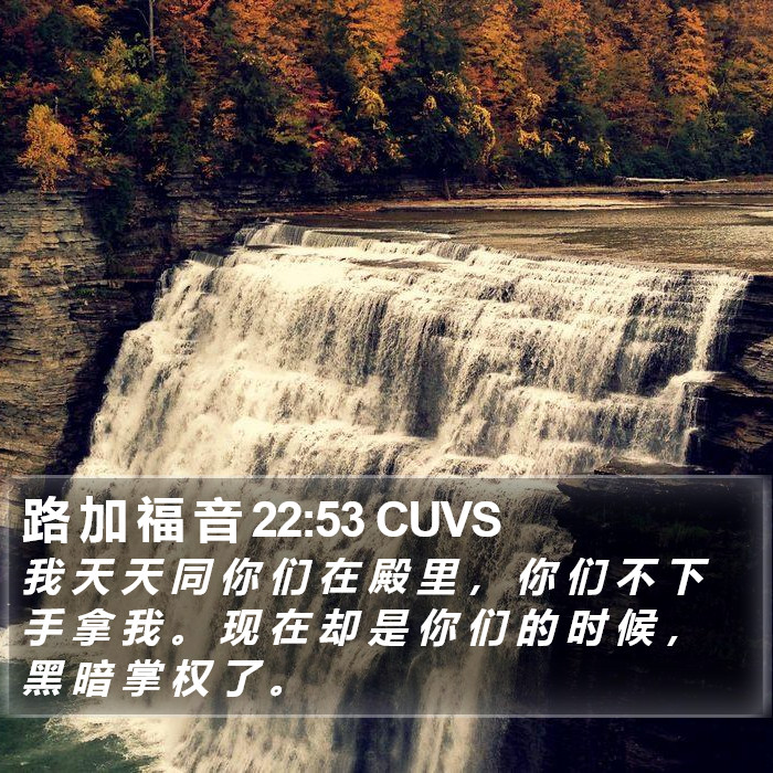 路 加 福 音 22:53 CUVS Bible Study