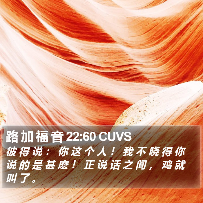 路 加 福 音 22:60 CUVS Bible Study