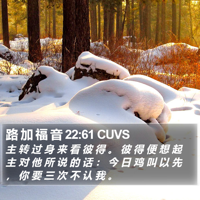 路 加 福 音 22:61 CUVS Bible Study