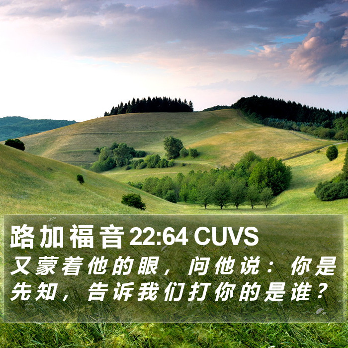 路 加 福 音 22:64 CUVS Bible Study