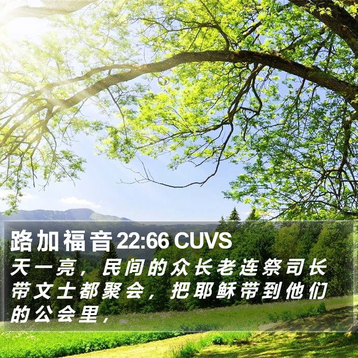 路 加 福 音 22:66 CUVS Bible Study