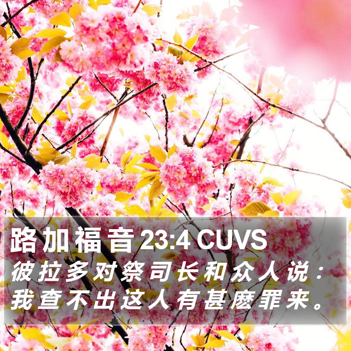 路 加 福 音 23:4 CUVS Bible Study