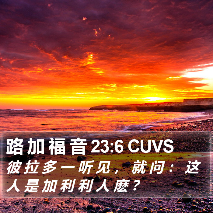 路 加 福 音 23:6 CUVS Bible Study