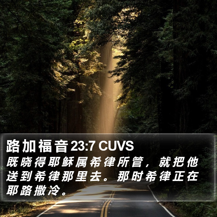 路 加 福 音 23:7 CUVS Bible Study