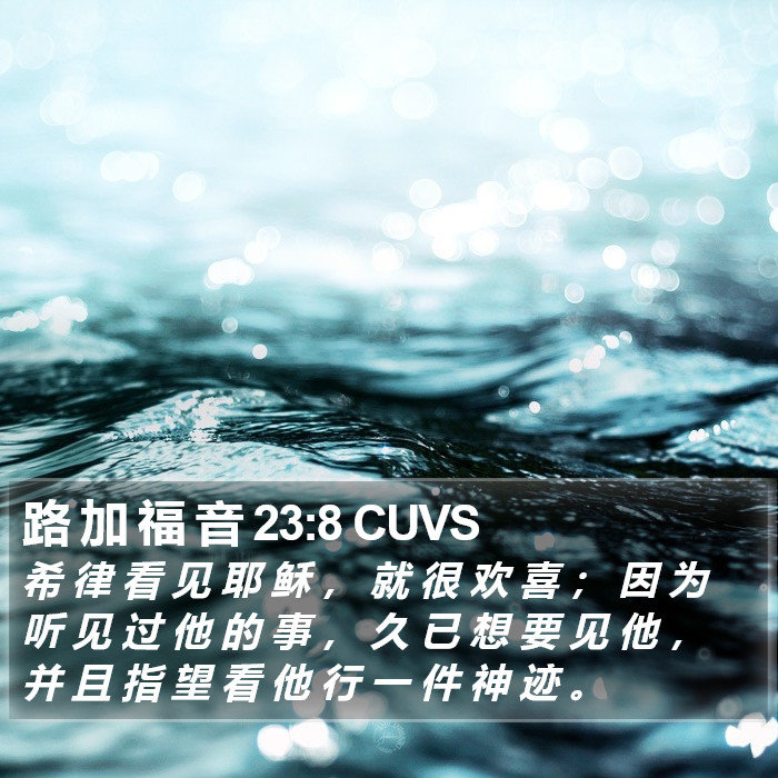 路 加 福 音 23:8 CUVS Bible Study