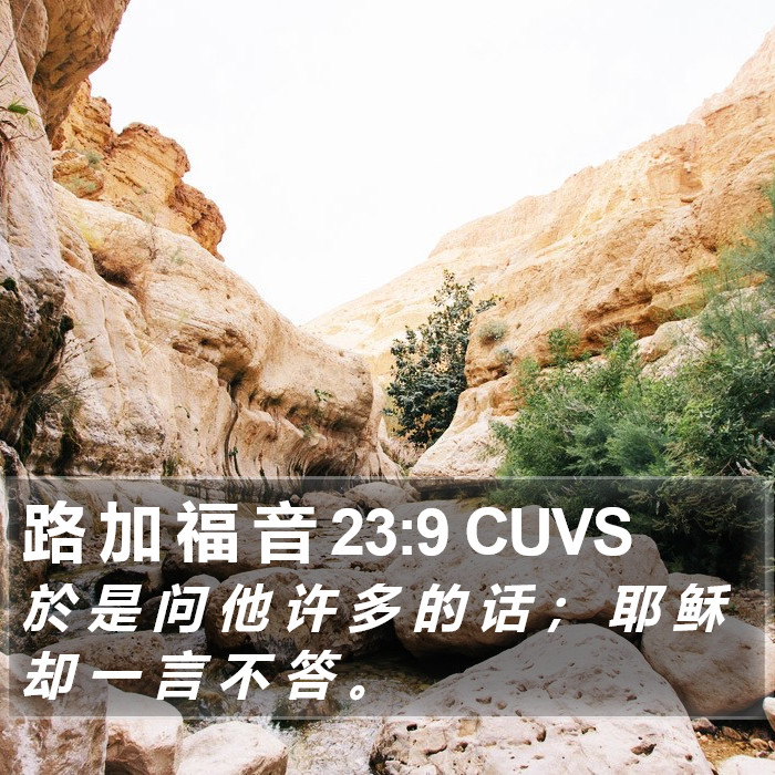 路 加 福 音 23:9 CUVS Bible Study