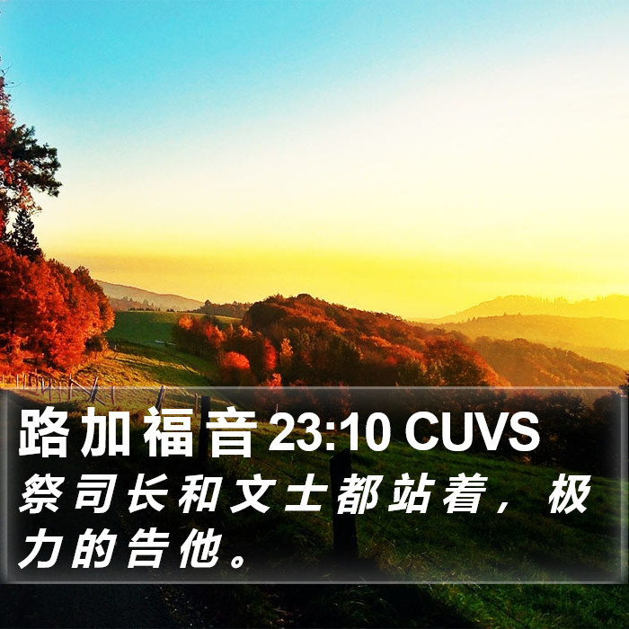 路 加 福 音 23:10 CUVS Bible Study