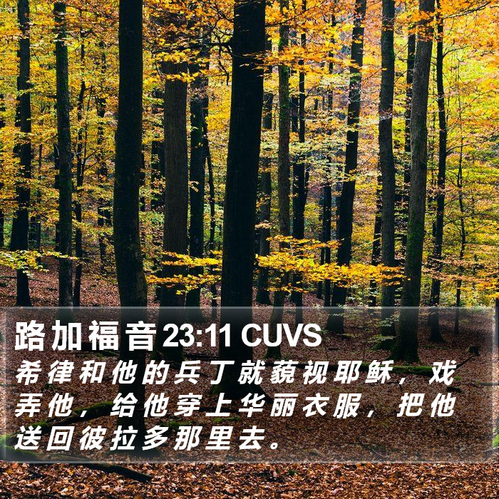 路 加 福 音 23:11 CUVS Bible Study