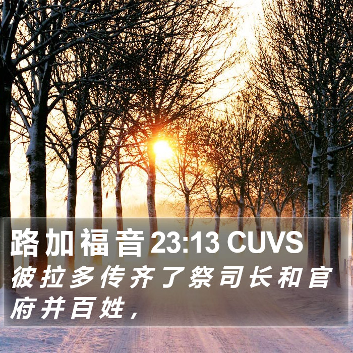 路 加 福 音 23:13 CUVS Bible Study