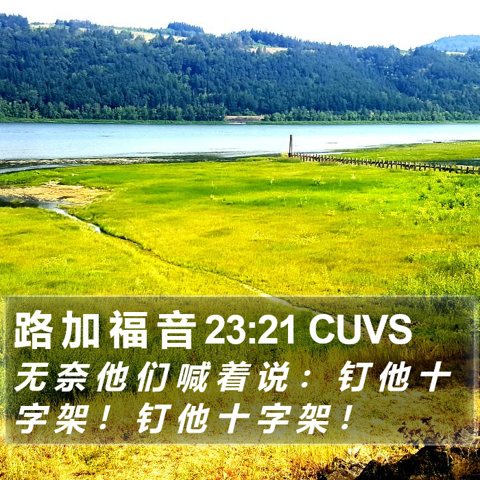 路 加 福 音 23:21 CUVS Bible Study