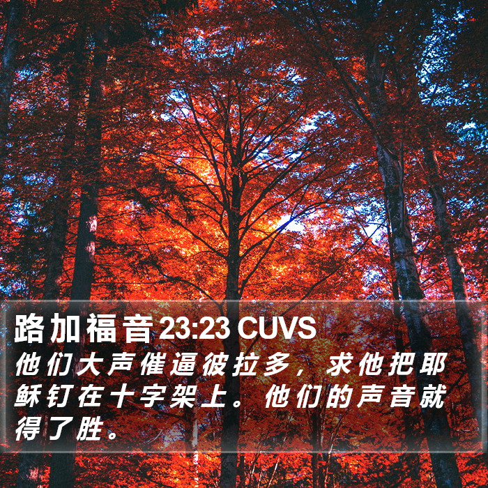 路 加 福 音 23:23 CUVS Bible Study