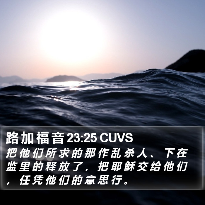 路 加 福 音 23:25 CUVS Bible Study