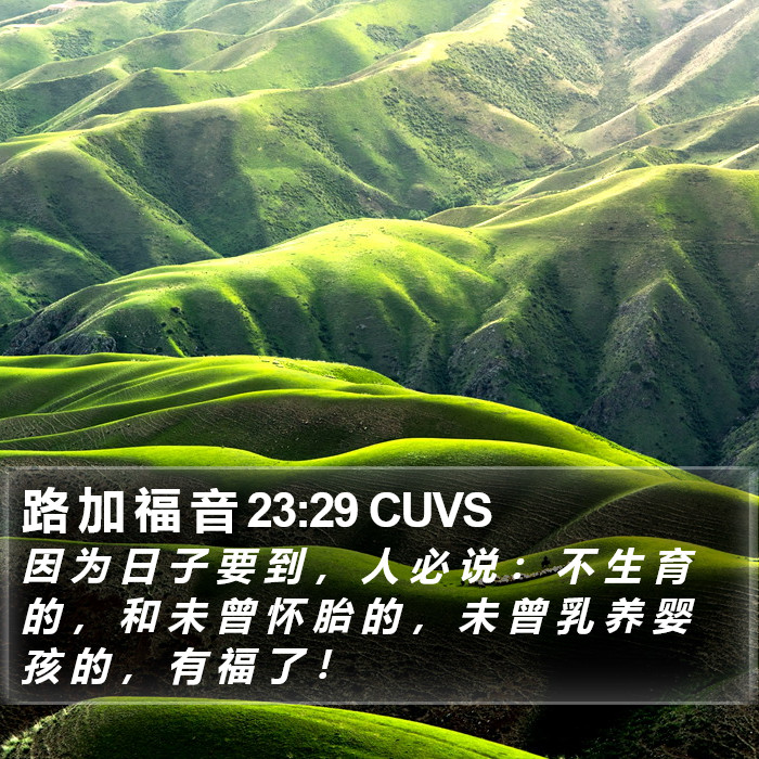 路 加 福 音 23:29 CUVS Bible Study