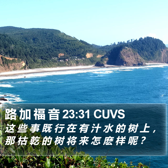 路 加 福 音 23:31 CUVS Bible Study