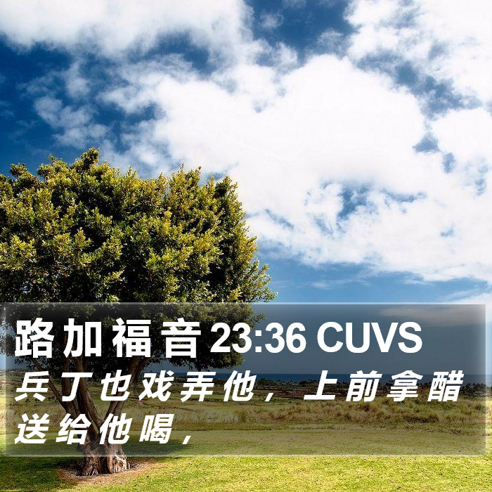 路 加 福 音 23:36 CUVS Bible Study