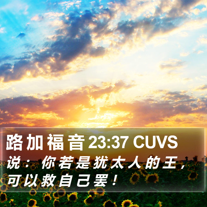 路 加 福 音 23:37 CUVS Bible Study