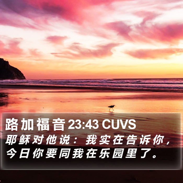 路 加 福 音 23:43 CUVS Bible Study