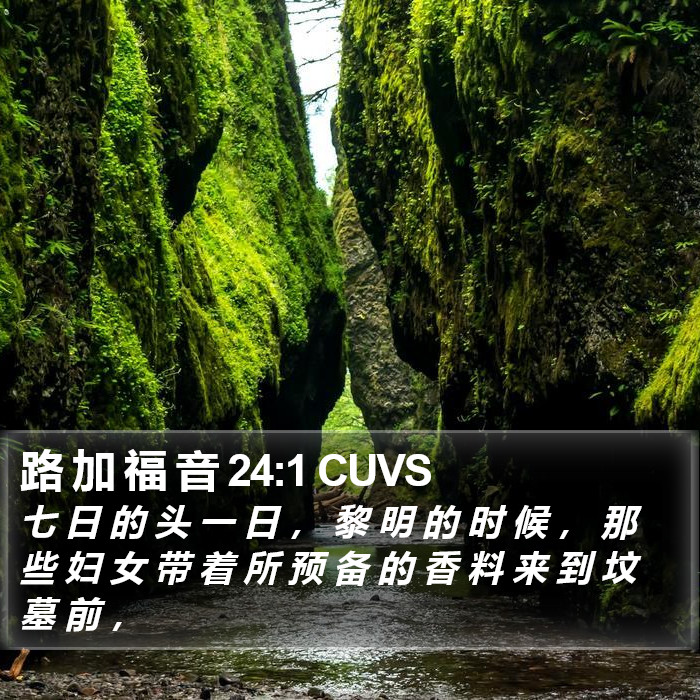 路 加 福 音 24:1 CUVS Bible Study