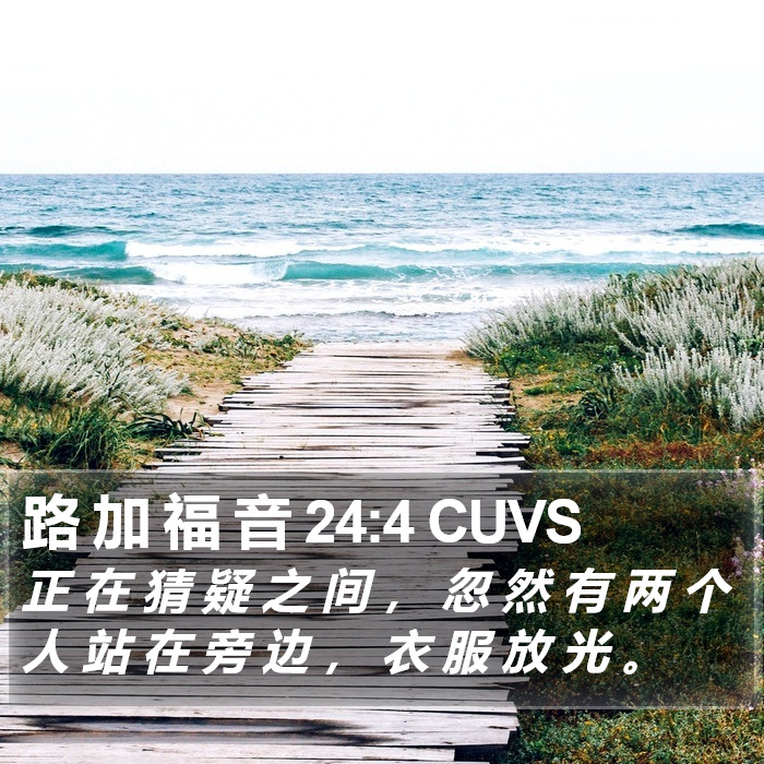 路 加 福 音 24:4 CUVS Bible Study