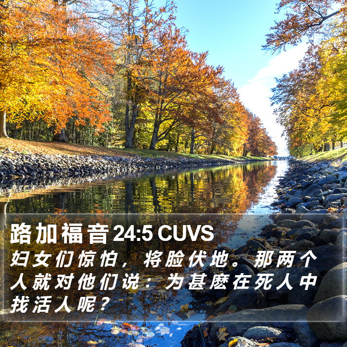 路 加 福 音 24:5 CUVS Bible Study