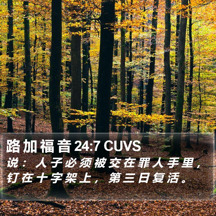 路 加 福 音 24:7 CUVS Bible Study