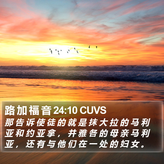 路 加 福 音 24:10 CUVS Bible Study