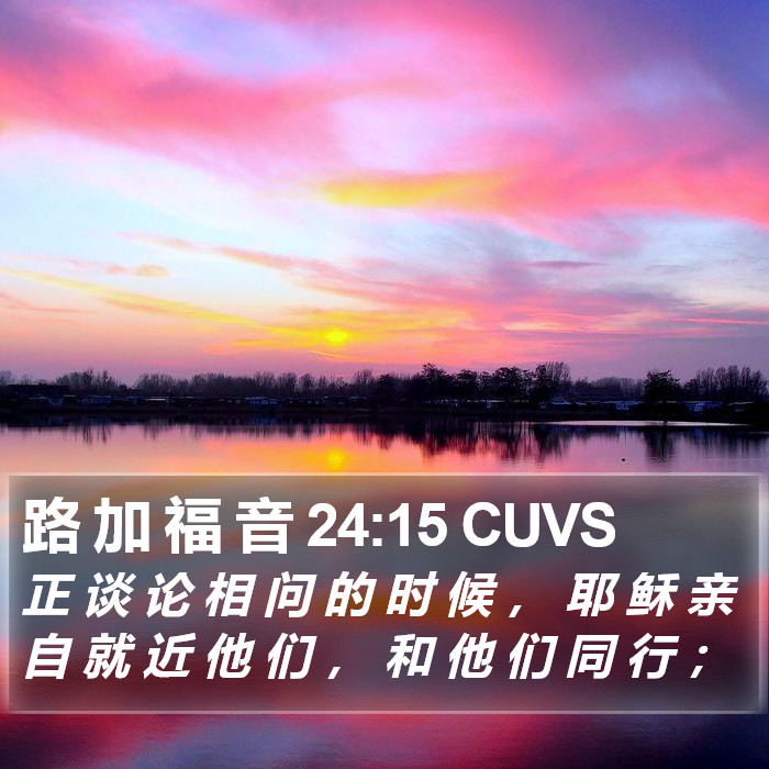 路 加 福 音 24:15 CUVS Bible Study