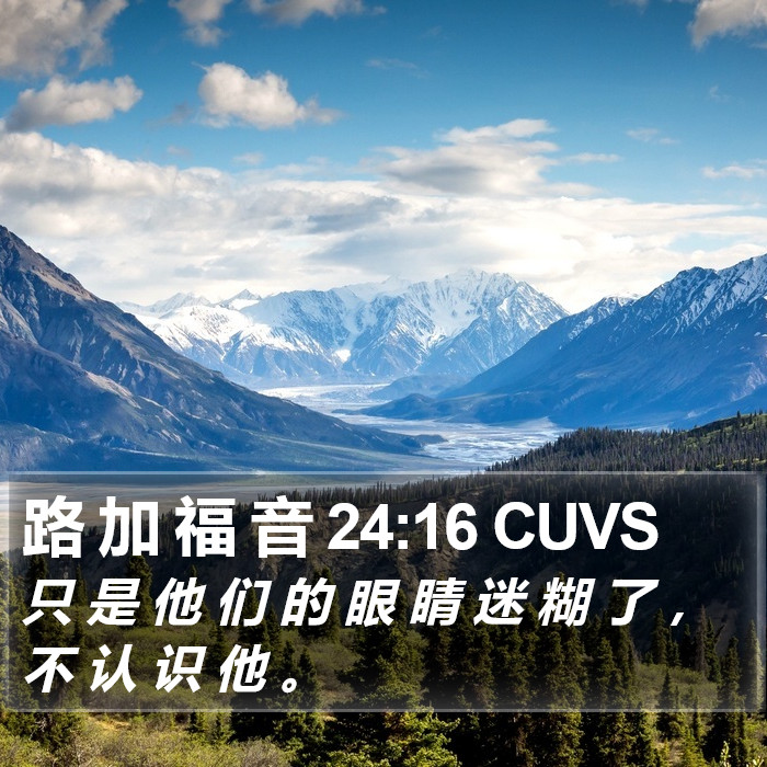 路 加 福 音 24:16 CUVS Bible Study