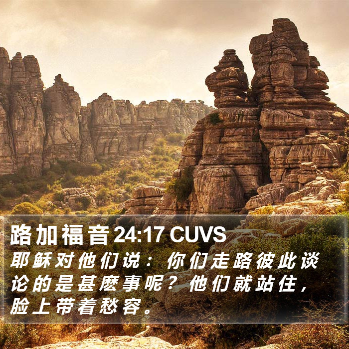 路 加 福 音 24:17 CUVS Bible Study