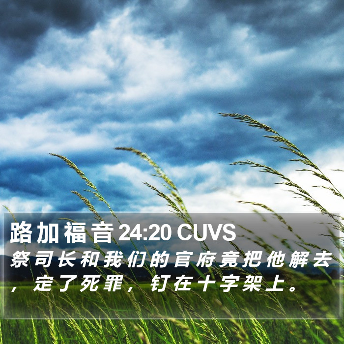 路 加 福 音 24:20 CUVS Bible Study