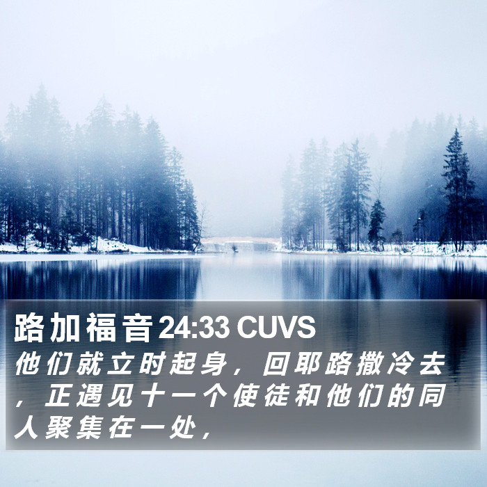 路 加 福 音 24:33 CUVS Bible Study