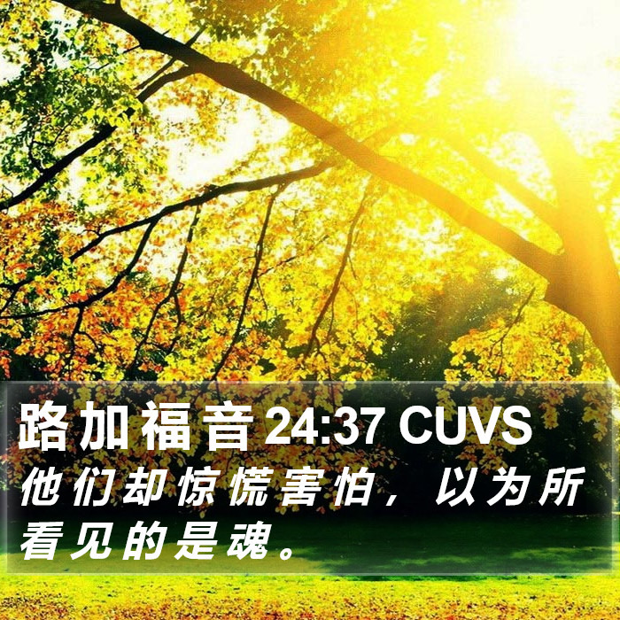 路 加 福 音 24:37 CUVS Bible Study