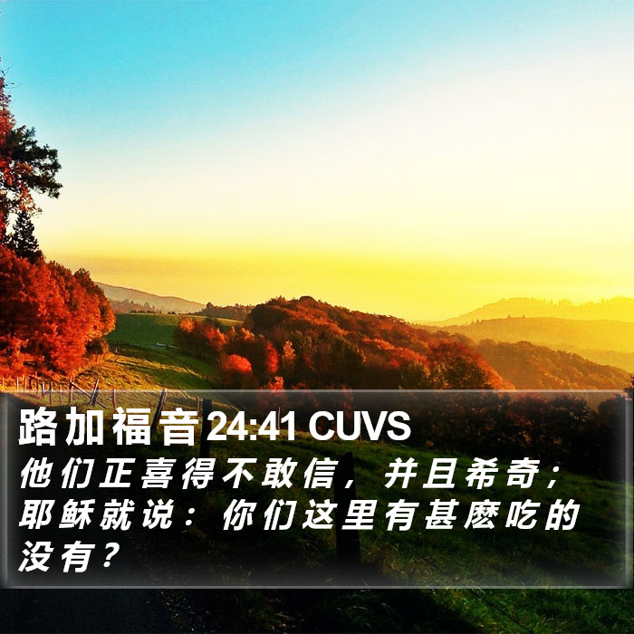 路 加 福 音 24:41 CUVS Bible Study