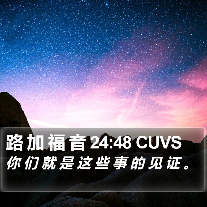 路 加 福 音 24:48 CUVS Bible Study