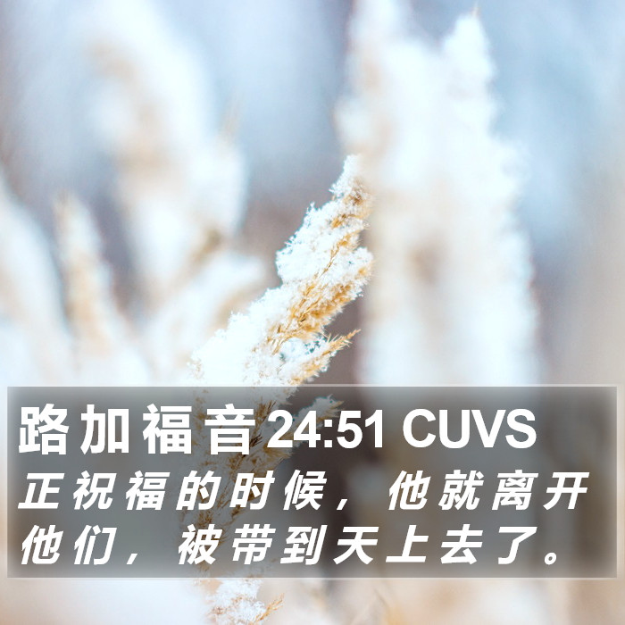 路 加 福 音 24:51 CUVS Bible Study