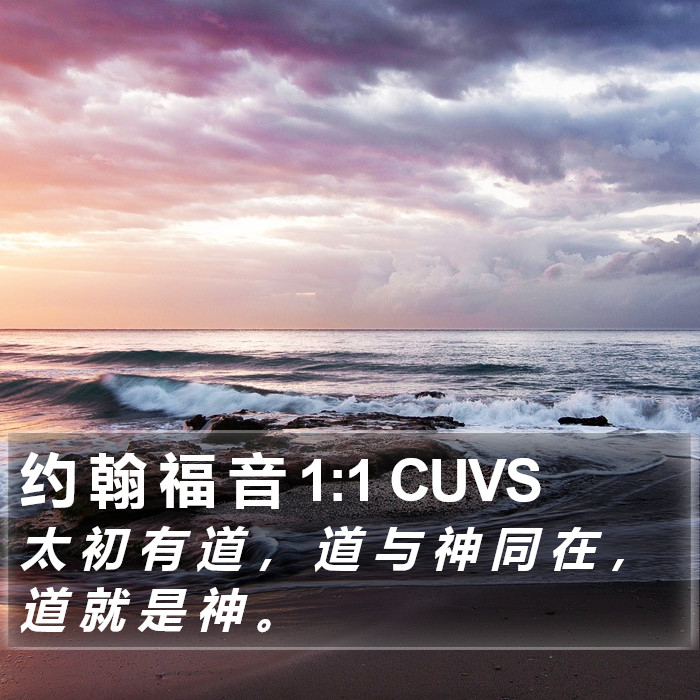 约 翰 福 音 1:1 CUVS Bible Study