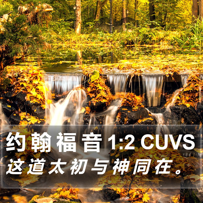 约 翰 福 音 1:2 CUVS Bible Study