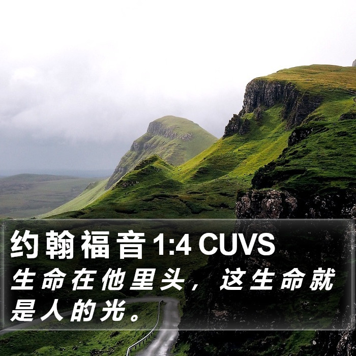 约 翰 福 音 1:4 CUVS Bible Study