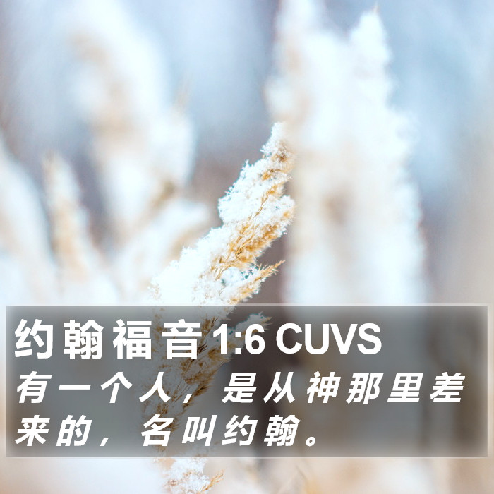 约 翰 福 音 1:6 CUVS Bible Study