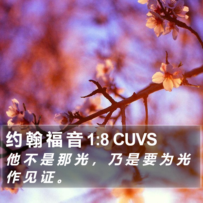 约 翰 福 音 1:8 CUVS Bible Study